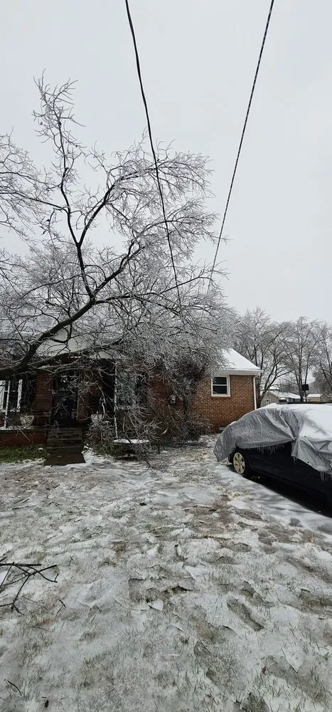 Expert landscaping services experts serving La Vergne, TN - Calo Tree Service