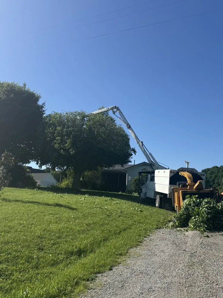 Local lawn care service in La Vergne, TN by Calo Tree Service