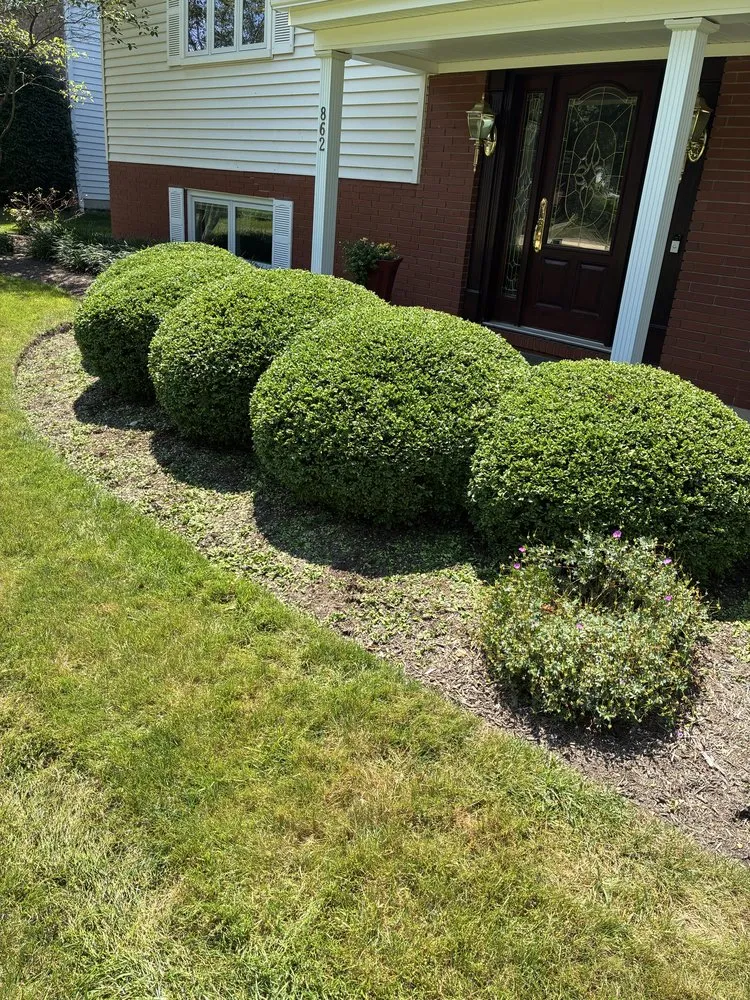 Trusted lawn care service experts serving Salem, OH - Cals Cleaning Service