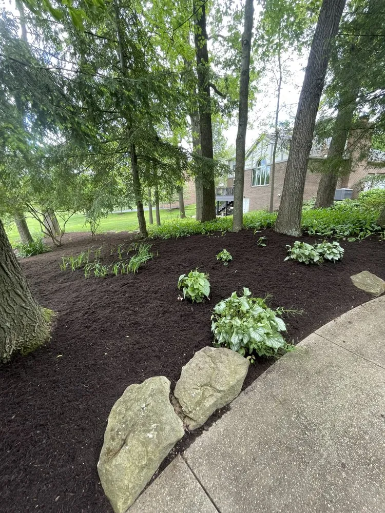 Local yard cleanup service for beautiful yards in Salem, OH by Cals Cleaning Service