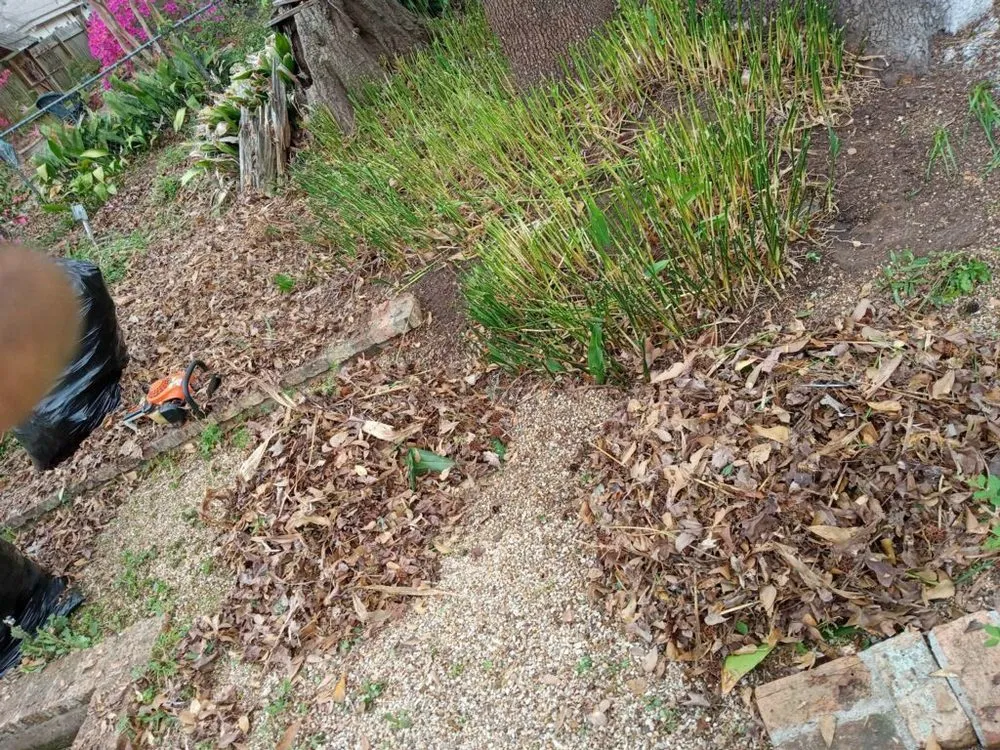 Reliable lawn mowing service in Jeanerette, LA - Cal's Lawn care