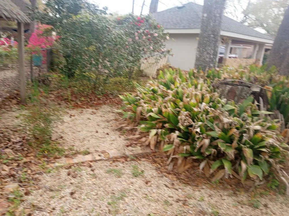 Affordable outdoor landscaping in Jeanerette, LA - Cal's Lawn care