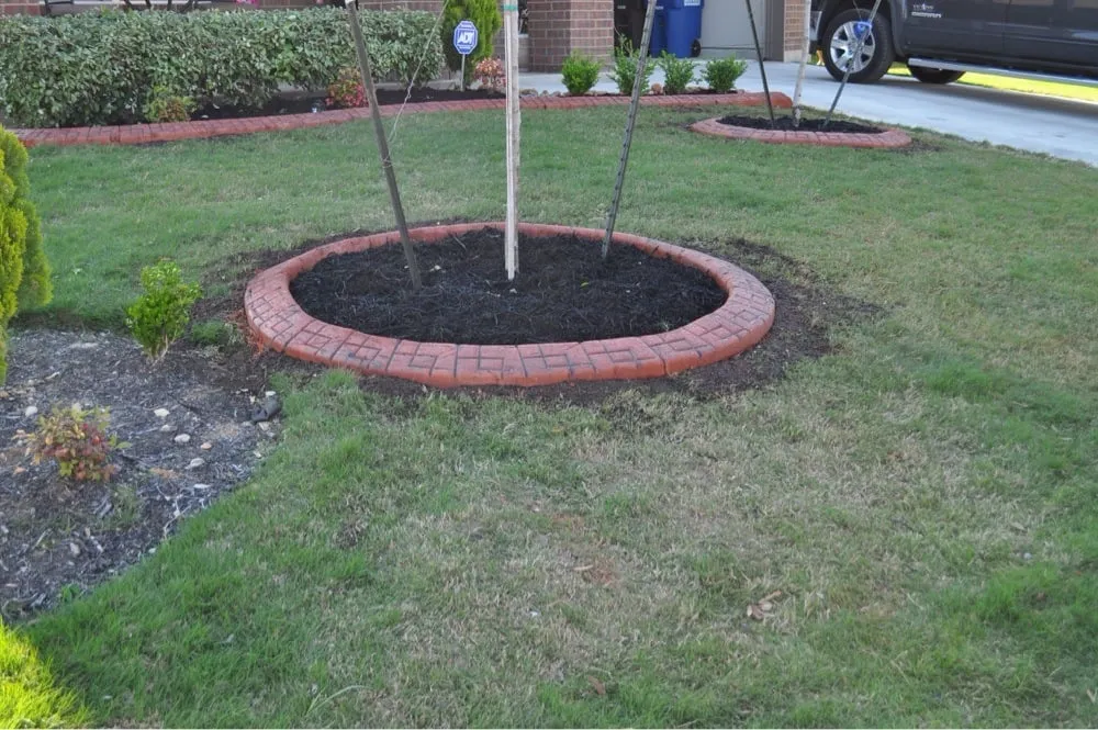 Affordable residential landscaping in Abilene, TX by Calton Custom Curbing