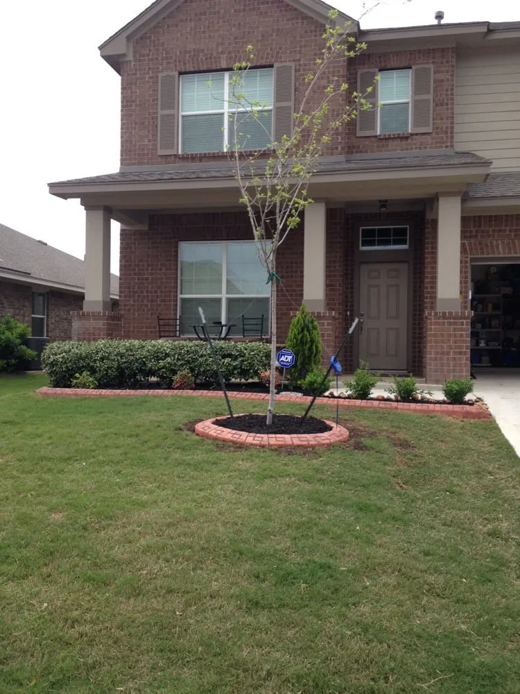 Custom yard maintenance experts serving Abilene, TX - Calton Custom Curbing