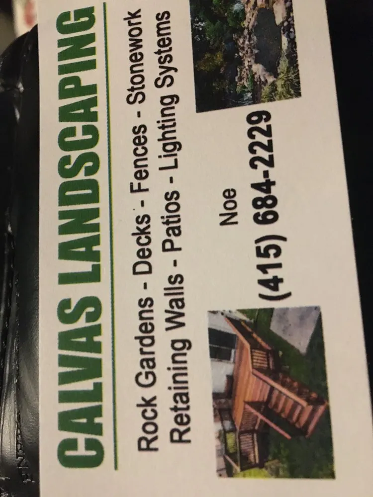 Professional yard maintenance experts serving Colma, CA - Calvas Landscaping