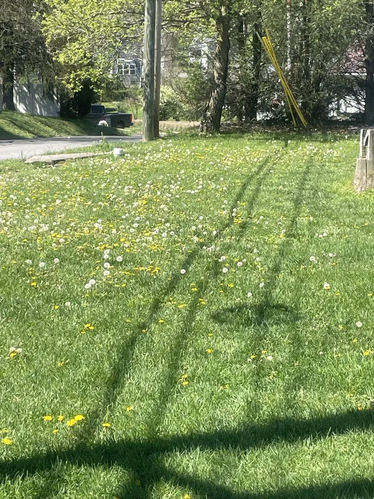 Trusted garden landscaping in Morgantown, WV by Calvert And Sons Lawn Care