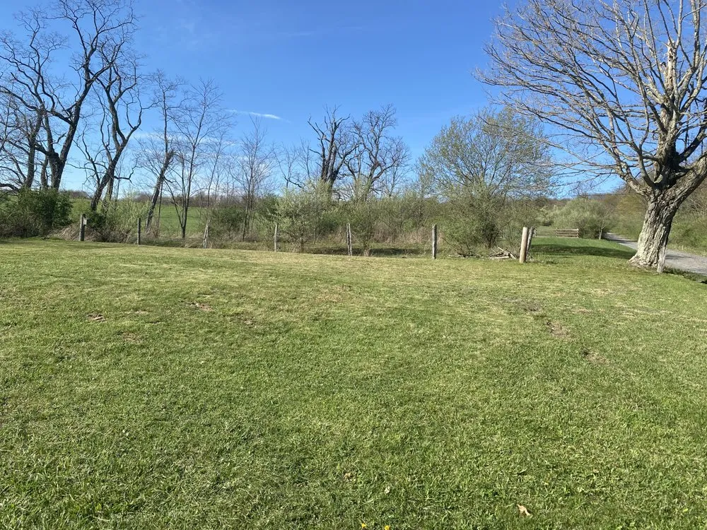 Affordable yard cleanup service with custom design in Morgantown, WV by Calvert And Sons Lawn Care