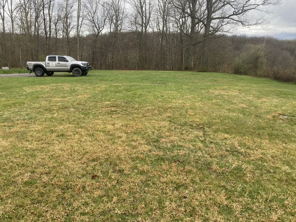 Reliable yard maintenance experts serving Morgantown, WV - Calvert And Sons Lawn Care