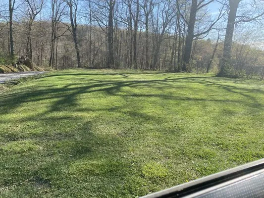 Calvert And Sons Lawn Care Logo