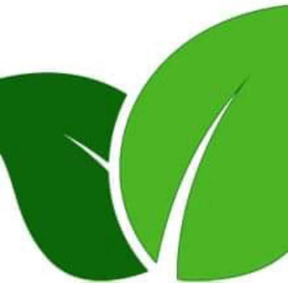 Professional landscaping services in Massillon, OH - Calvert brothers landscaping