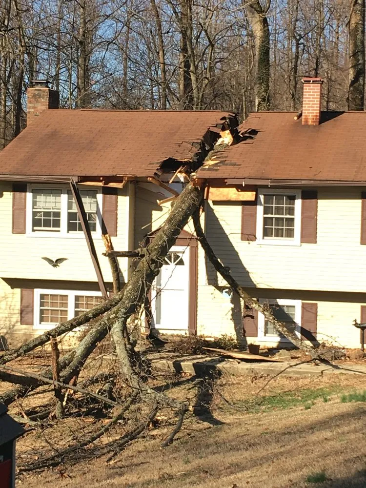 Custom garden landscaping for homes across Owings, MD - Calvert County Tree Experts