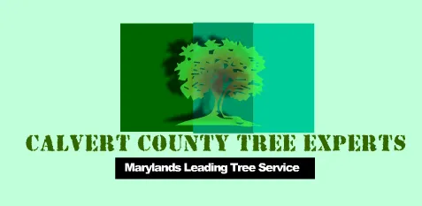Local landscape installation for homes in Owings, MD by Calvert County Tree Experts
