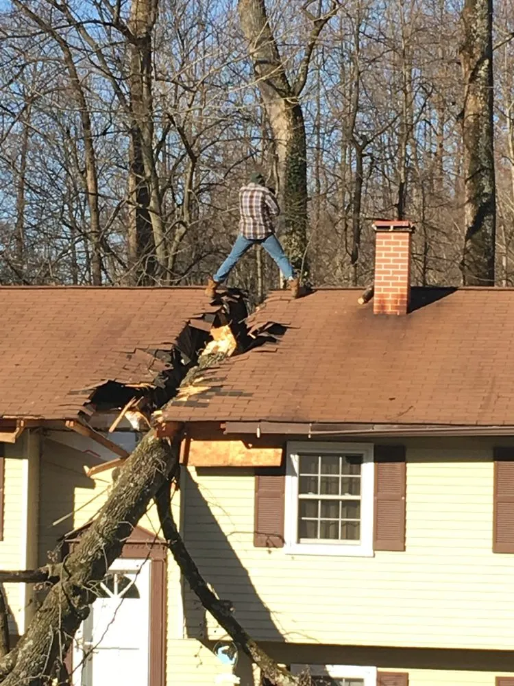 Custom landscape installation for residential properties across Owings, MD - Calvert County Tree Experts