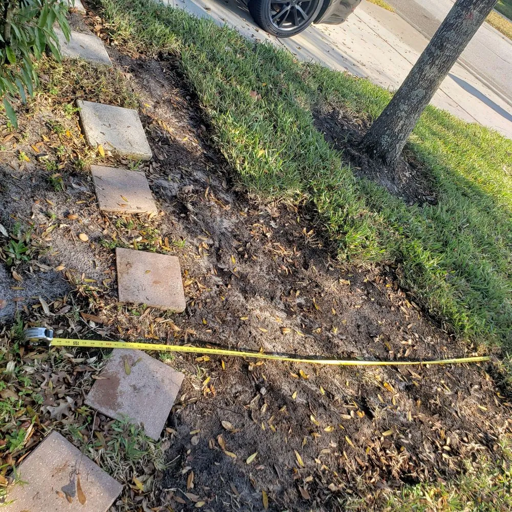 Top-rated lawn mowing service near you in Port Richey, FL by Calvia Lawn Care