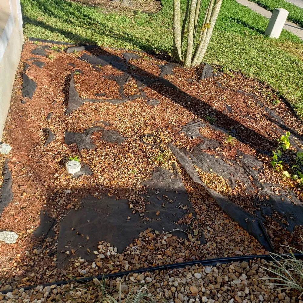 Affordable outdoor landscaping near you in Port Richey, FL by Calvia Lawn Care