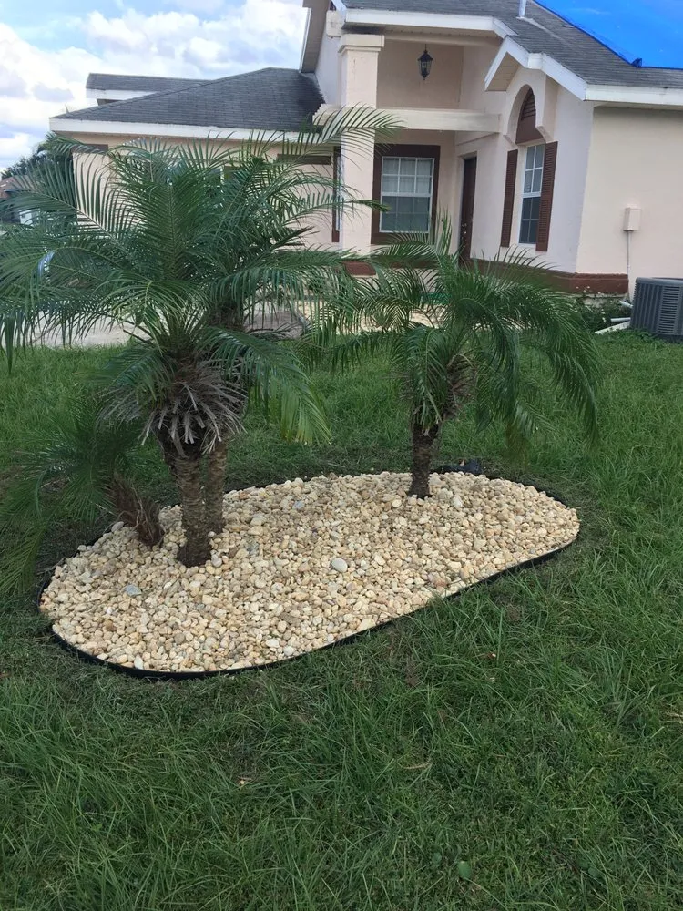 Affordable lawn care service in Kissimmee, FL by Calvin Terry Landscape Services
