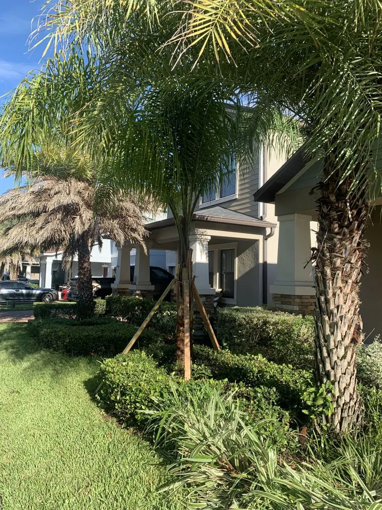 Local yard cleanup service for residential properties across Kissimmee, FL - Calvin Terry Landscape Services
