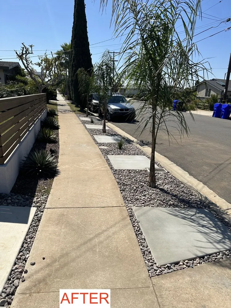Professional yard maintenance for residential properties in San Diego, CA by Calvine Landscape