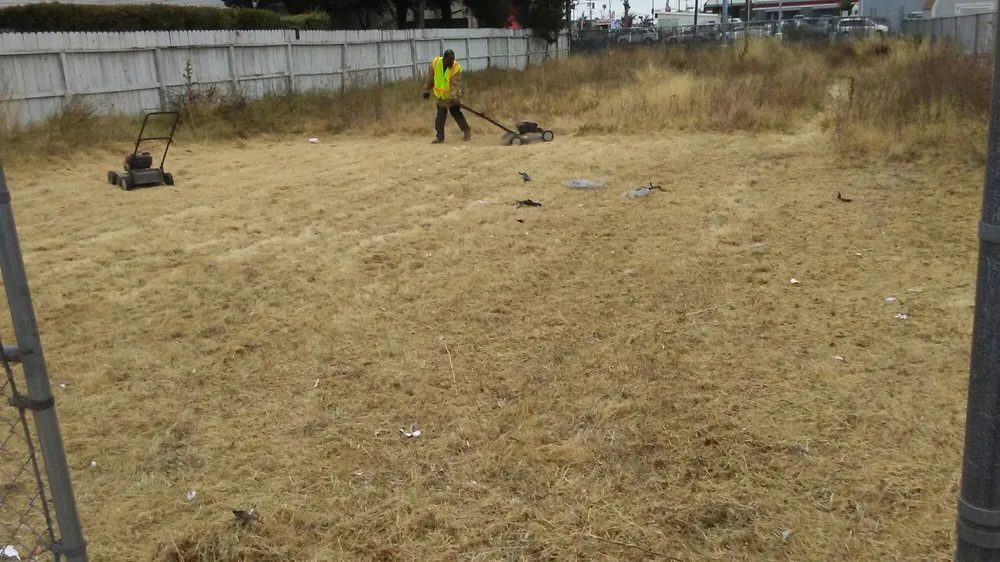 Affordable garden landscaping experts serving Vallejo, CA - Calvin's Call & Hall