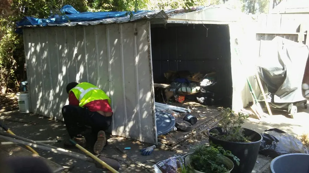 Affordable yard cleanup service in Vallejo, CA - Calvin's Call & Hall