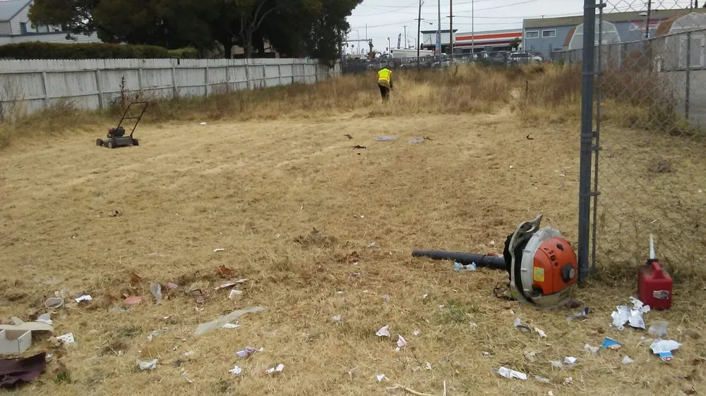 Top-rated landscaping services near you in Vallejo, CA by Calvin's Call & Hall