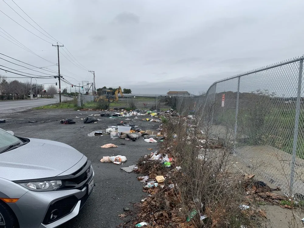 Reliable landscape installation for year-round maintenance across Vallejo, CA - Calvin's Call & Hall