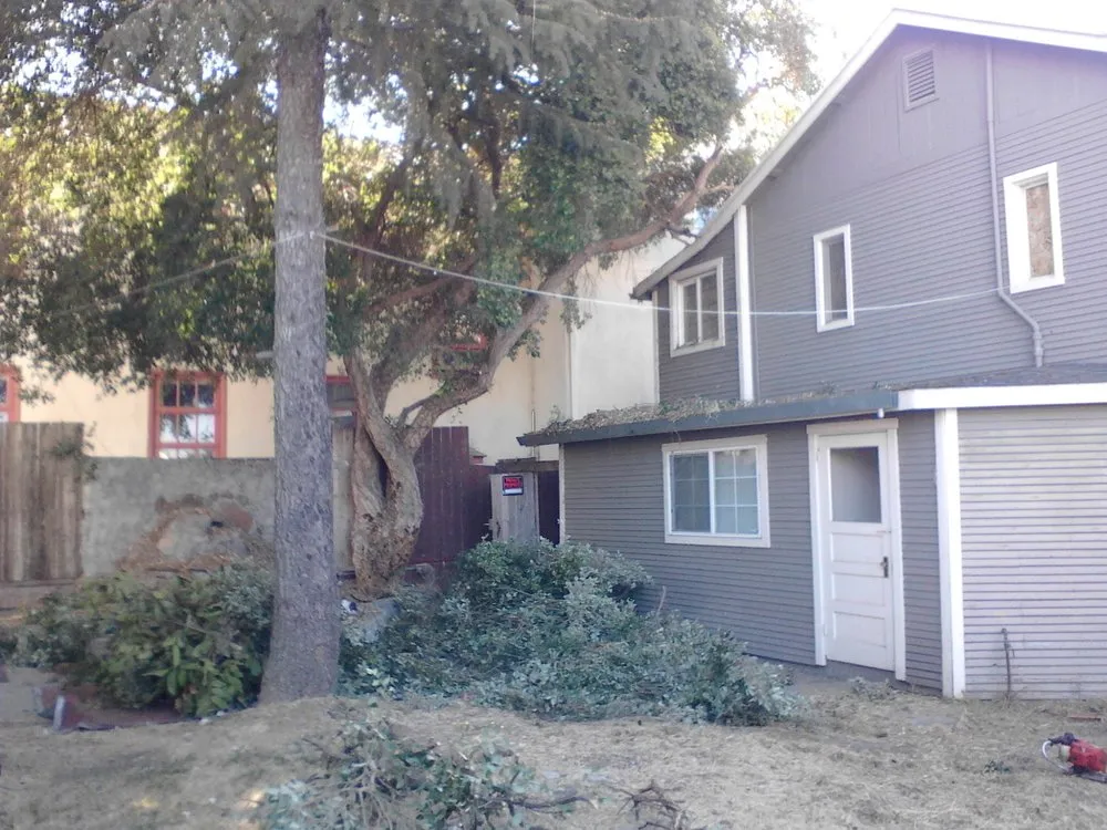 Trusted outdoor landscaping for year-round maintenance across Vallejo, CA - Calvin's Call & Hall