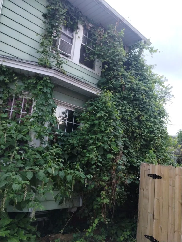 Local outdoor landscaping for beautiful yards in Toledo, OH by Calvin's Lawn Service & More