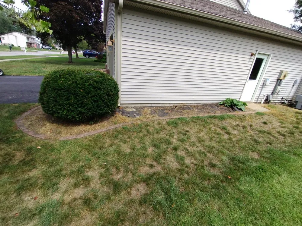 Top-rated outdoor landscaping in Toledo, OH by Calvin's Lawn Service & More