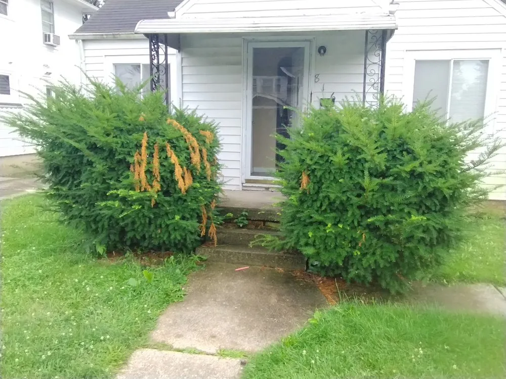 Expert landscaping services experts serving Toledo, OH - Calvin's Lawn Service & More