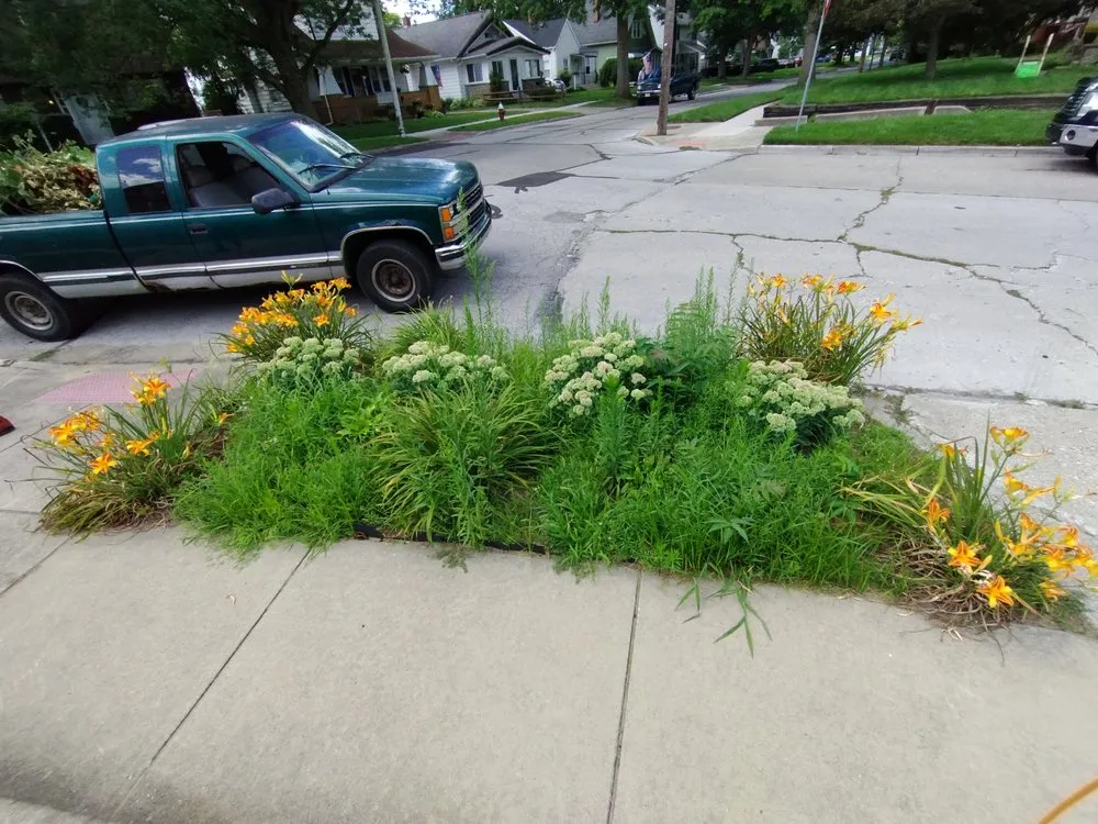 Top-rated lawn mowing service experts serving Toledo, OH - Calvin's Lawn Service & More