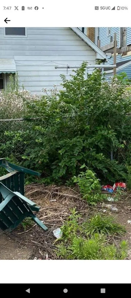 Custom lawn care service for residential properties across Toledo, OH - Calvin's Lawn Service & More