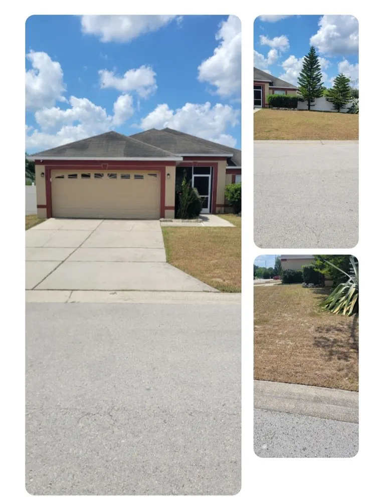 Affordable residential landscaping in Tampa Bay, FL - Calvin's Mowing Service