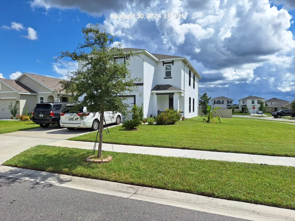 Professional lawn care service in Tampa Bay, FL by Calvin's Mowing Service