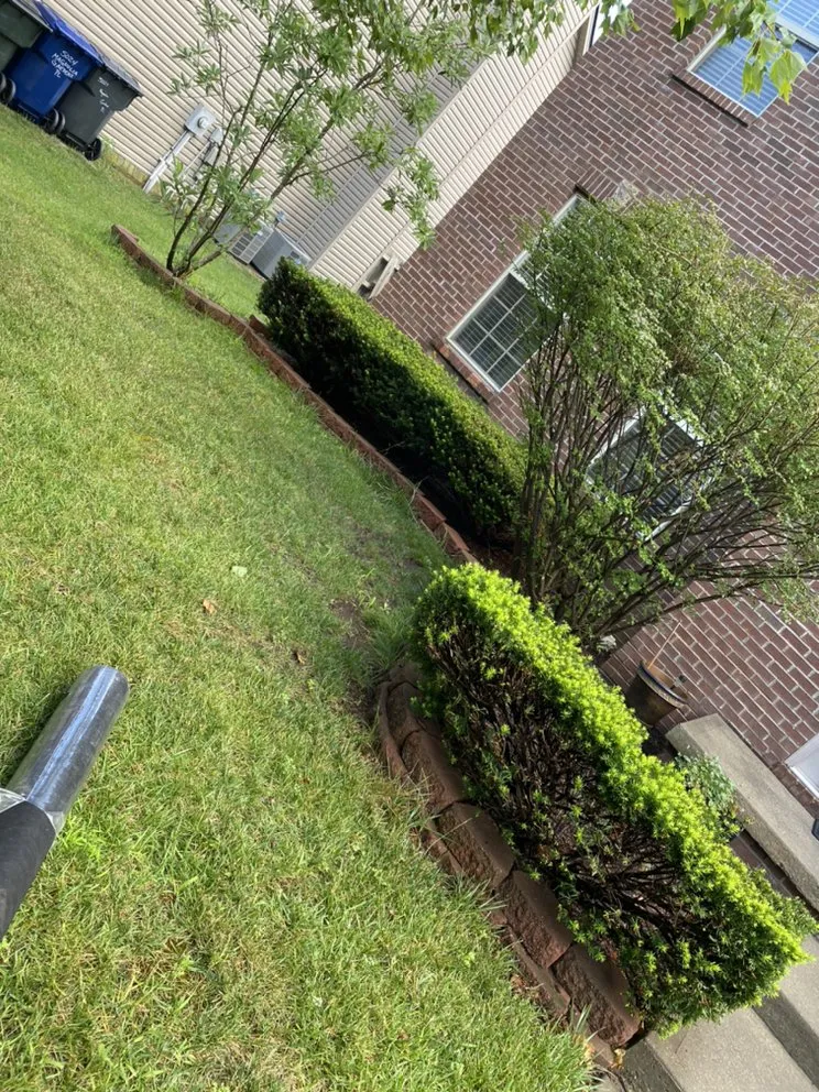 Expert landscape design for year-round maintenance across Danville, KY - Calvo’s Tree Service & Landscape