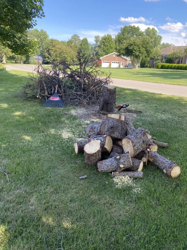 Custom residential landscaping for beautiful yards across Danville, KY - Calvo’s Tree Service & Landscape