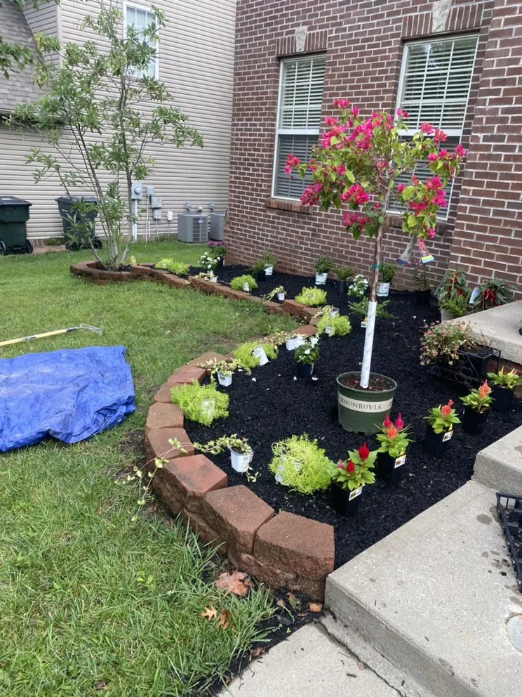 Expert yard cleanup service in Danville, KY by Calvo’s Tree Service & Landscape