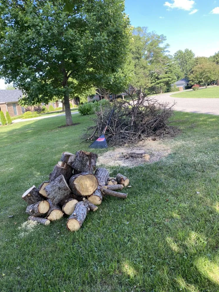 Local yard cleanup service in Danville, KY by Calvo’s Tree Service & Landscape