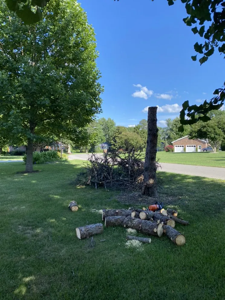 Reliable garden landscaping for outdoor upgrades across Danville, KY - Calvo’s Tree Service & Landscape