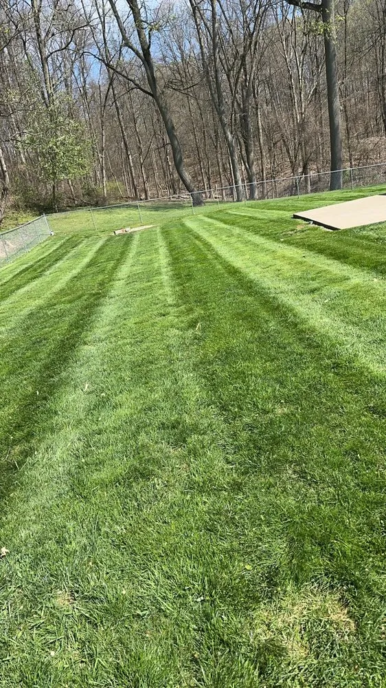 Local outdoor landscaping for outdoor upgrades in Elizabeth, PA by Cam J’s Lawn Care