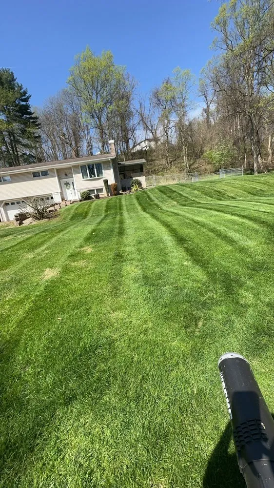 Professional landscape design experts serving Elizabeth, PA - Cam J’s Lawn Care
