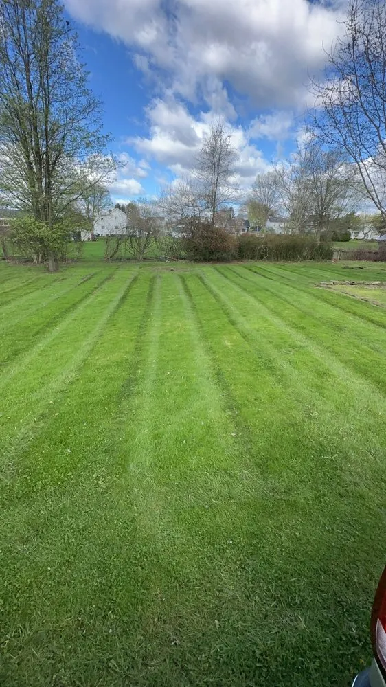 Local yard cleanup service in Elizabeth, PA - Cam J’s Lawn Care