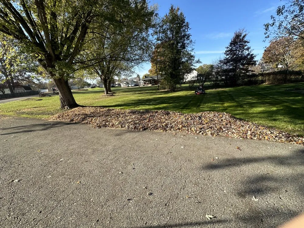 Trusted yard cleanup service in Elizabeth, PA - Cam J’s Lawn Care