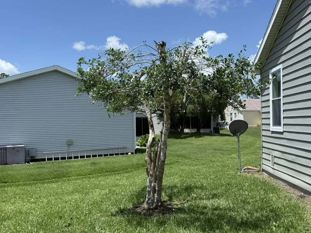 Top-rated yard cleanup service for residential properties across St. Augustine, FL - Cam Landscaping