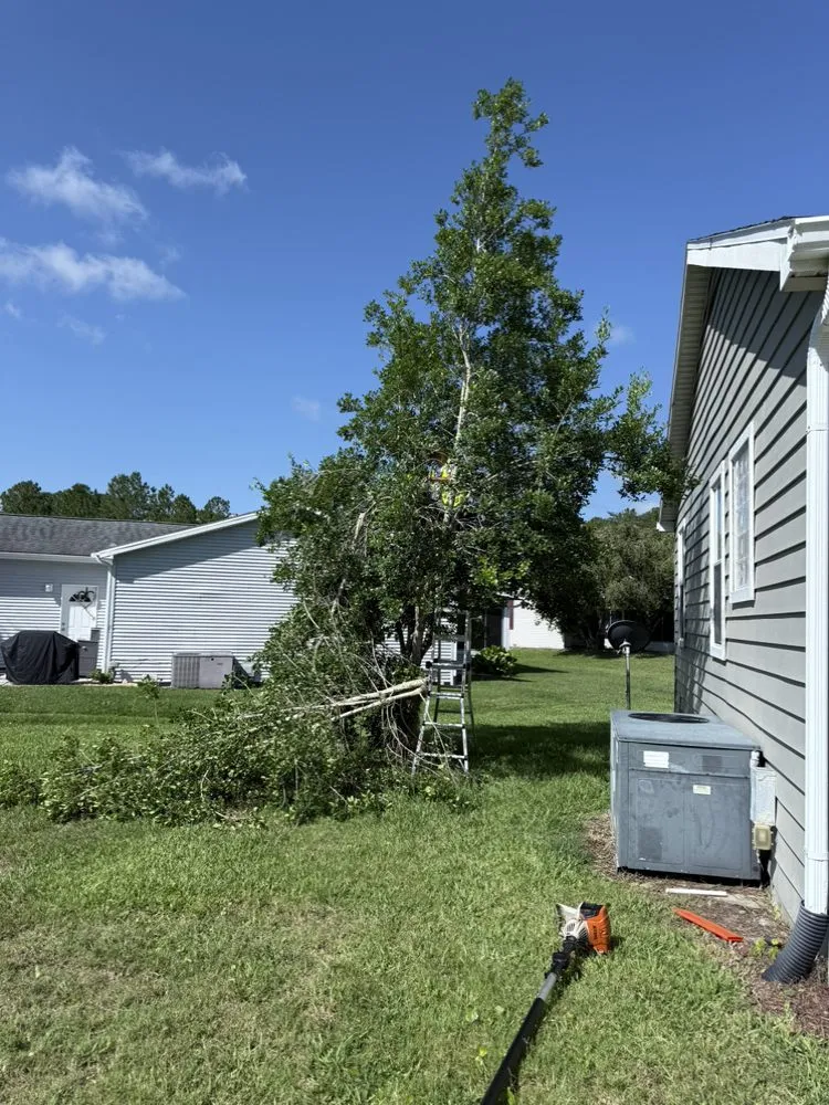 Top-rated yard cleanup service for outdoor upgrades in St. Augustine, FL by Cam Landscaping