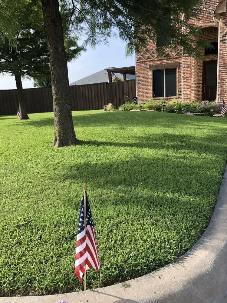 Trusted yard maintenance in Celina, TX - CAM Lawn Care