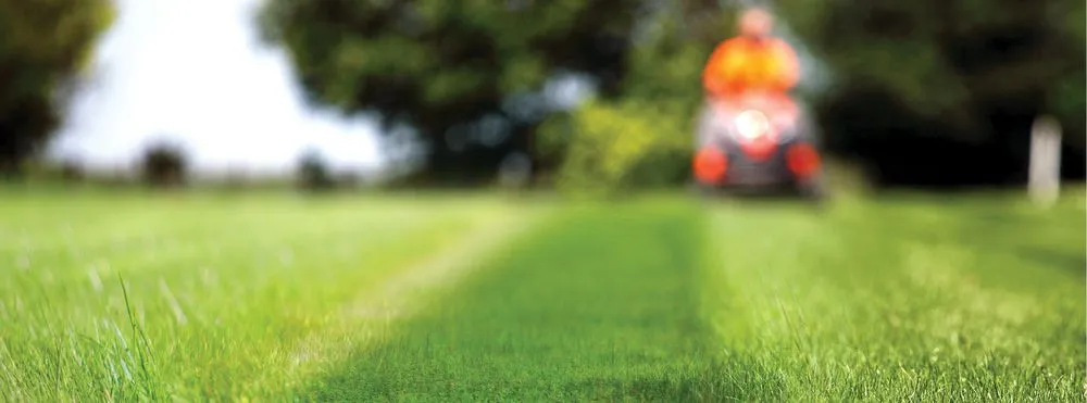 Custom landscape design for outdoor upgrades across Clovis, CA - CAM Property Services