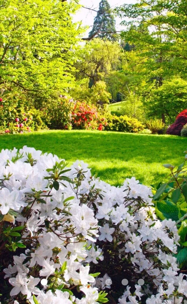 Custom landscape design in Clovis, CA by CAM Property Services