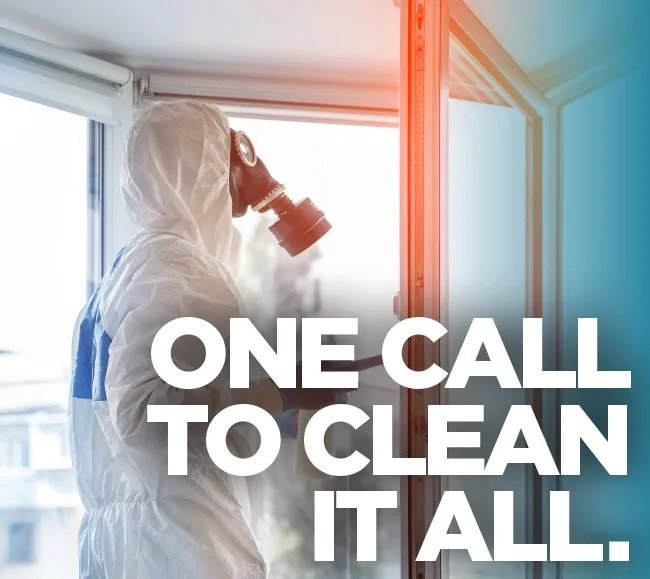 Top-rated landscape installation experts serving Clovis, CA - CAM Property Services