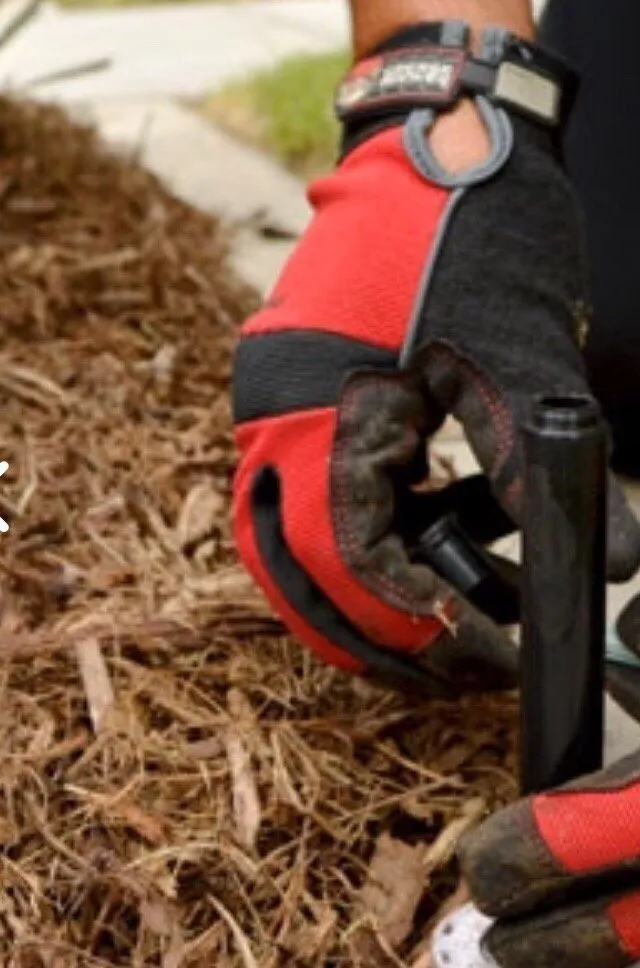 Local yard cleanup service near you in Clovis, CA by CAM Property Services